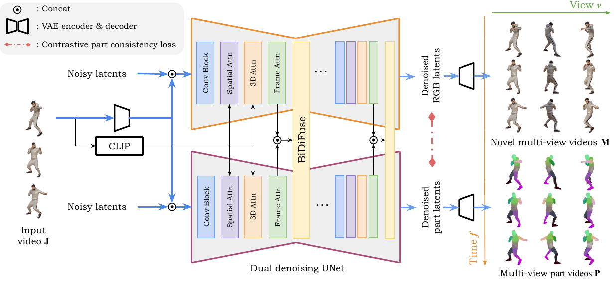 Figure 2 – Model Architecture: SP4D dual-branch diffusion model with BiDiFuse module for RGB and kinematic part generation